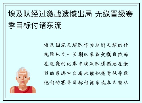 埃及队经过激战遗憾出局 无缘晋级赛季目标付诸东流