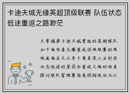 卡迪夫城无缘英超顶级联赛 队伍状态低迷重返之路渺茫