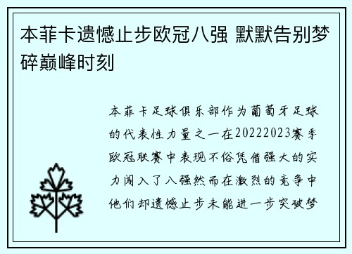 本菲卡遗憾止步欧冠八强 默默告别梦碎巅峰时刻
